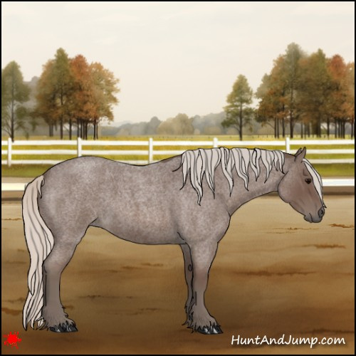 Horse Color:Silver Blue Roan