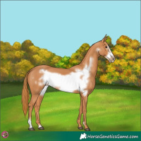 Horse Color:Chestnut Frame