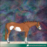 Horse Color:Chestnut Frame 
