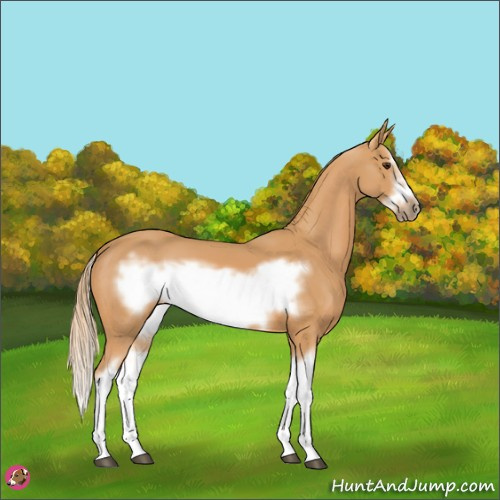 Horse Color:Chestnut Splash Frame 