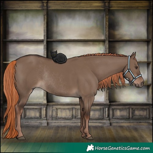Horse Color:Liver Red Dun Rabicano 