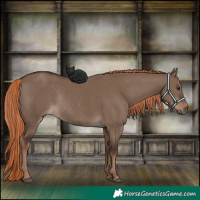 Horse Color:Liver Red Dun Rabicano