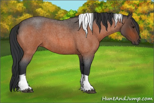 Horse Color:Bay Roan Tobiano