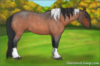 Horse Color:Bay Roan Tobiano