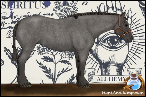 Horse Color:Smoky Blue Roan 