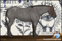 Horse Color:Smoky Blue Roan 