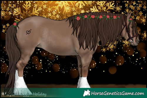 Horse Color:Liver Red Dun Rabicano