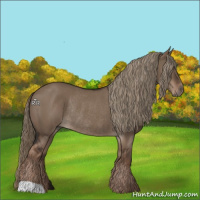 Horse Color:Liver Red Dun Rabicano 