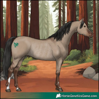 Horse Color:Liver Red Dun Rabicano 