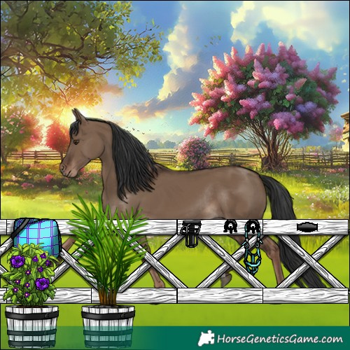 Horse Color:Liver Red Dun Rabicano 