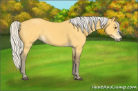 Horse Color:Silver Buckskin