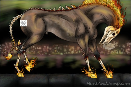 Horse Color:Liver Red Dun Rabicano 