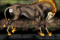 Horse Color:Liver Red Dun Rabicano 