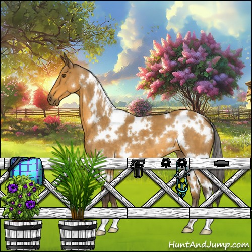 Horse Color:White Spotted Buckskin 