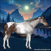 Horse Color:Liver Chestnut Tobiano