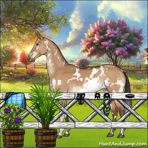 Horse Color:White Spotted Buckskin Dun 