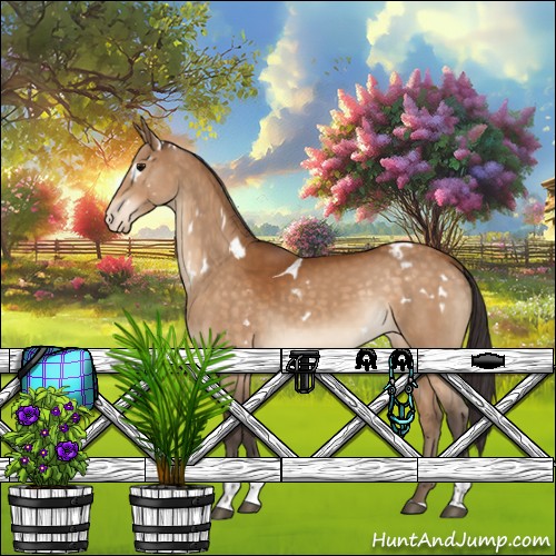 Horse Color:White Spotted Buckskin Tobiano Appaloosa 