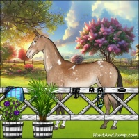 Horse Color:White Spotted Buckskin Tobiano Appaloosa 