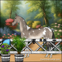 Horse Color:White Spotted Brown Dun Tobiano Appaloosa 