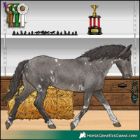 Horse Color:White Spotted Smoky Grullo Tobiano Varnish 
