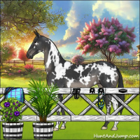 Horse Color:White Spotted Black 