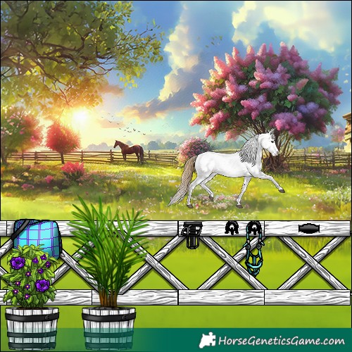 Horse Color:White Spotted Buckskin Dun Appaloosa 