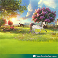 Horse Color:White Spotted Buckskin Dun Snowflake Varnish 