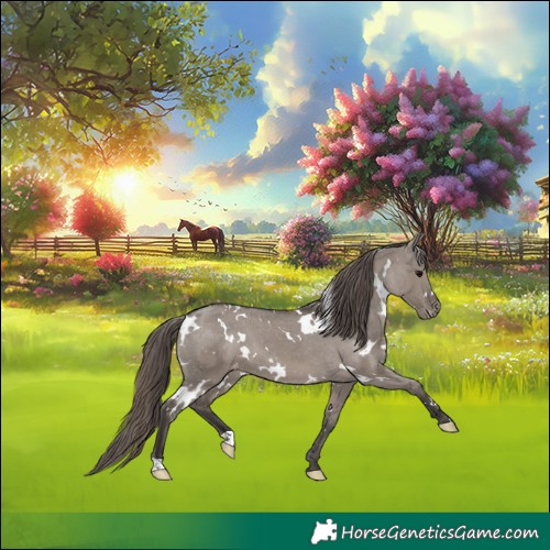 Horse Color:White Spotted Smoky Grullo Varnish