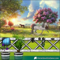 Horse Color:White Spotted Smoky Grullo Appaloosa 