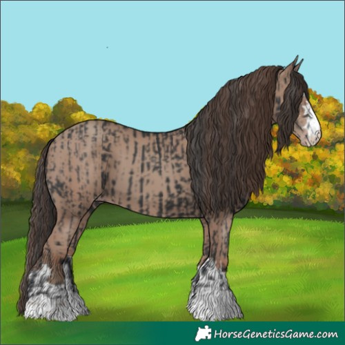 Horse Color:Black and Classic Champagne