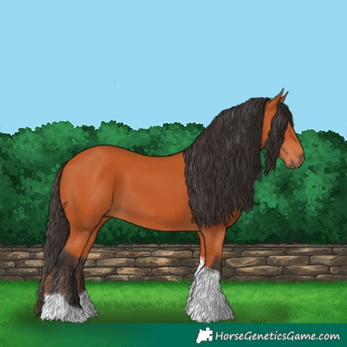 Horse Color:Bay Tobiano 