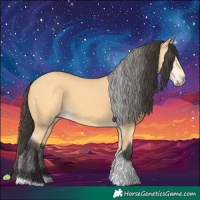 Horse Color:Buckskin Tobiano 