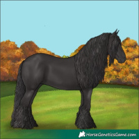 Horse Color:Smoky Black 