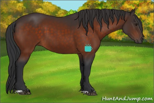 Horse Color:Brown 