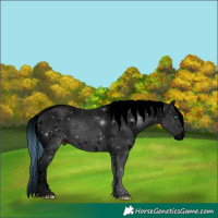 Horse Color:ERROR: UNKNOWN ANOMALY