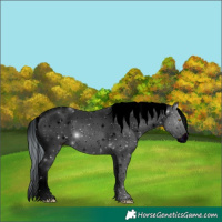 Horse Color:ERROR: UNKNOWN ANOMALY