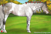 Horse Color:White Spotted Silver Brown Appaloosa 