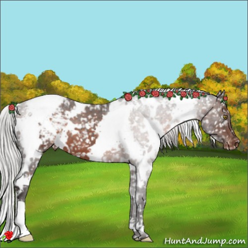 Horse Color:White Spotted Silver Brown Snowflake Varnish