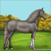 Horse Color:Silver Black 