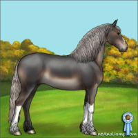 Horse Color:Silver Black 