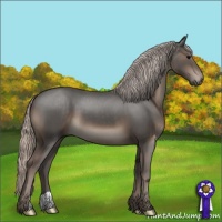 Horse Color:Silver Black 