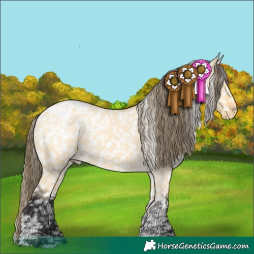 Horse Color:Buckskin Dun Tobiano Snowcap 