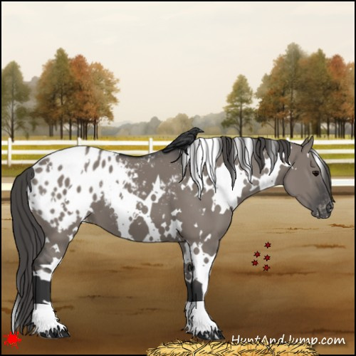 Horse Color:White Spotted Grullo Blanket 