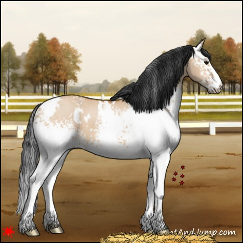 Horse Color:White Spotted Bay Dun 