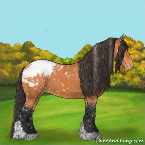 Horse Color:Bay Tobiano Snowcap