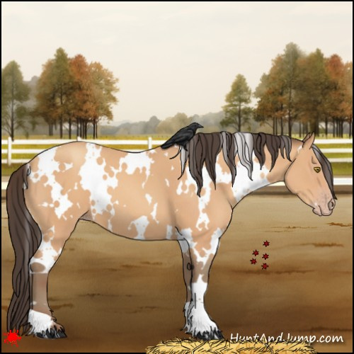 Horse Color:White Spotted Amber Champagne 