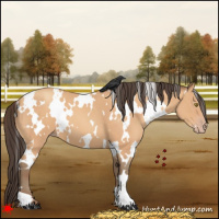 Horse Color:White Spotted Amber Champagne 