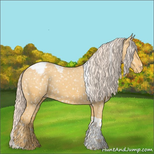 Horse Color:Palomino Tobiano Snowflake Varnish