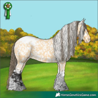 Horse Color:Buckskin Tobiano Snowcap 
