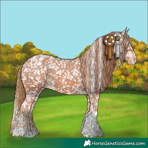 Horse Color:Chestnut Tobiano Appaloosa 
